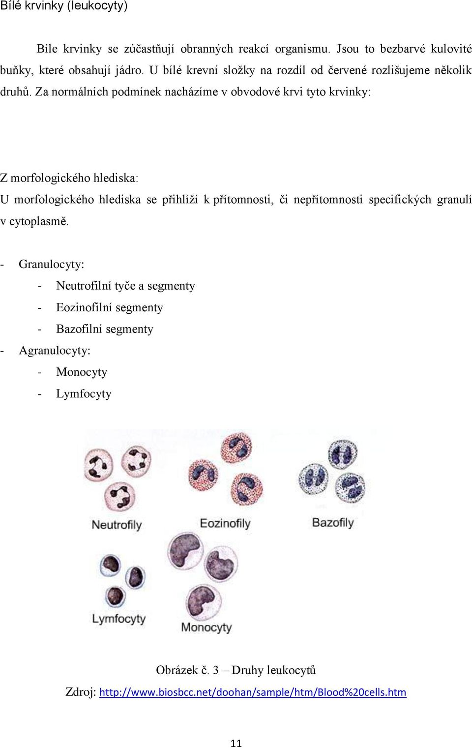 Za normálních podmínek nacházíme v obvodové krvi tyto krvinky: Z morfologického hlediska: U morfologického hlediska se přihlíží k přítomnosti, či