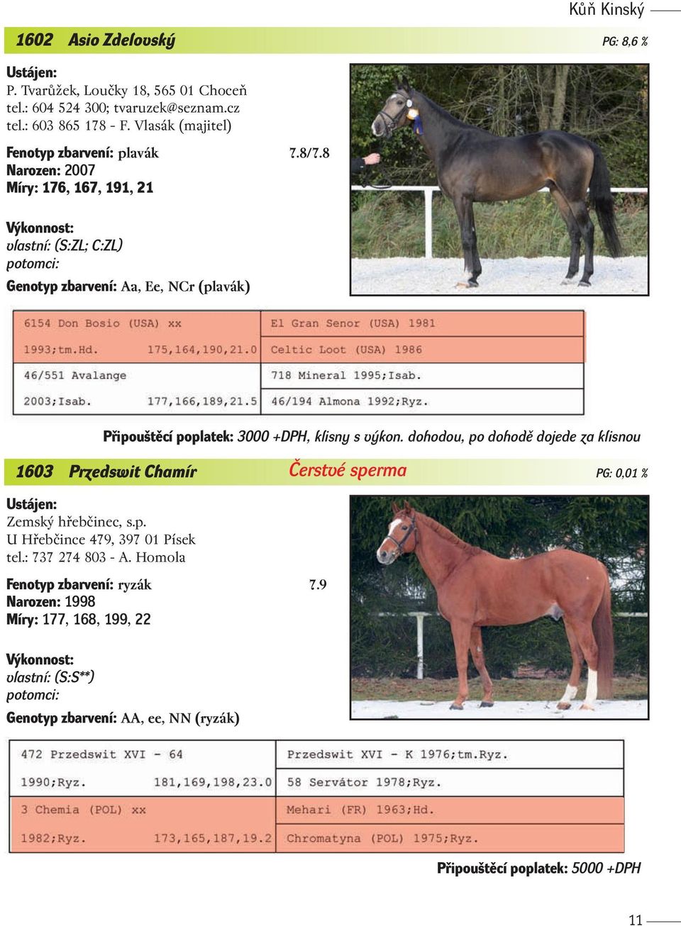 8 Narozen: 2007 Míry: 176, 167, 191, 21 V konnost: vlastní: (S:ZL; C:ZL) potomci: Genotyp zbarvení: Aa, Ee, NCr (plavák) Pfiipou tûcí poplatek: 3000 +DPH, klisny s v kon.