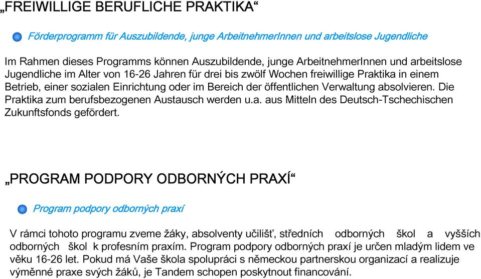 Die Praktika zum berufsbezogenen Austausch werden u.a. aus Mitteln des Deutsch-Tschechischen Zukunftsfonds gefördert.