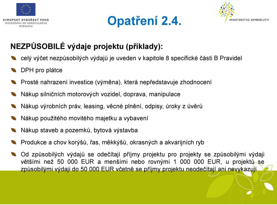 a vybavení Nákup staveb a pozemků, bytová výstavba Produkce a chov korýšů, řas, měkkýšů, okrasných a akvarijních ryb Od způsobilých výdajů se odečítají příjmy projektu pro projekty