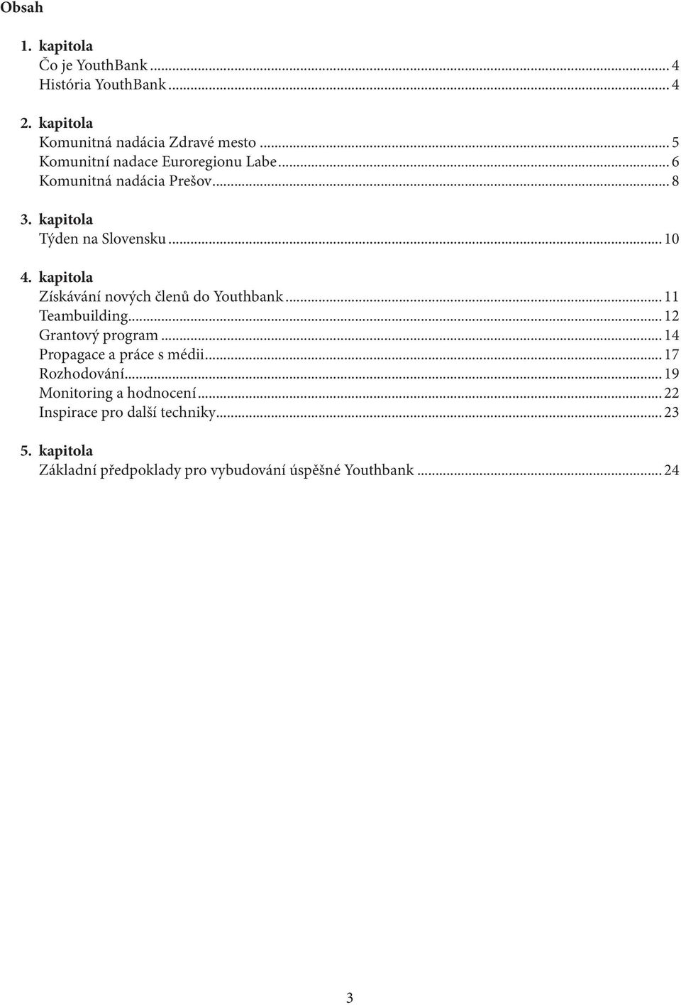 kapitola Získávání nových členů do Youthbank... 11 Teambuilding...12 Grantový program...14 Propagace a práce s médii.