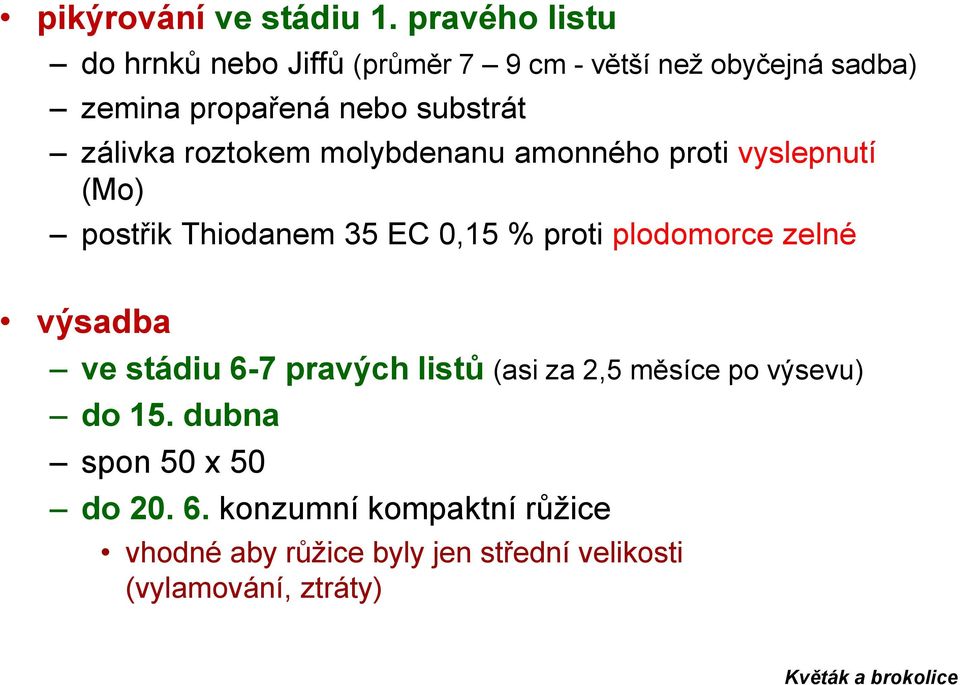 zálivka roztokem molybdenanu amonného proti vyslepnutí (Mo) postřik Thiodanem 35 EC 0,15 % proti plodomorce zelné