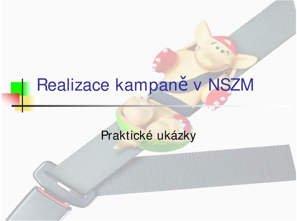 NSZM