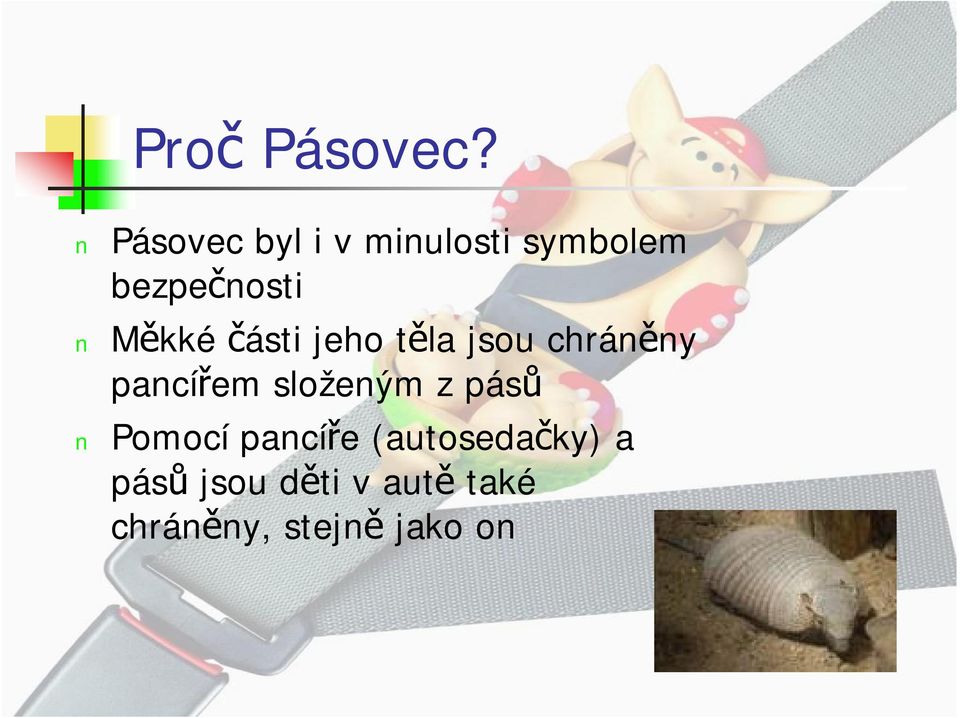 Měkké části jeho těla jsou chráněny pancířem