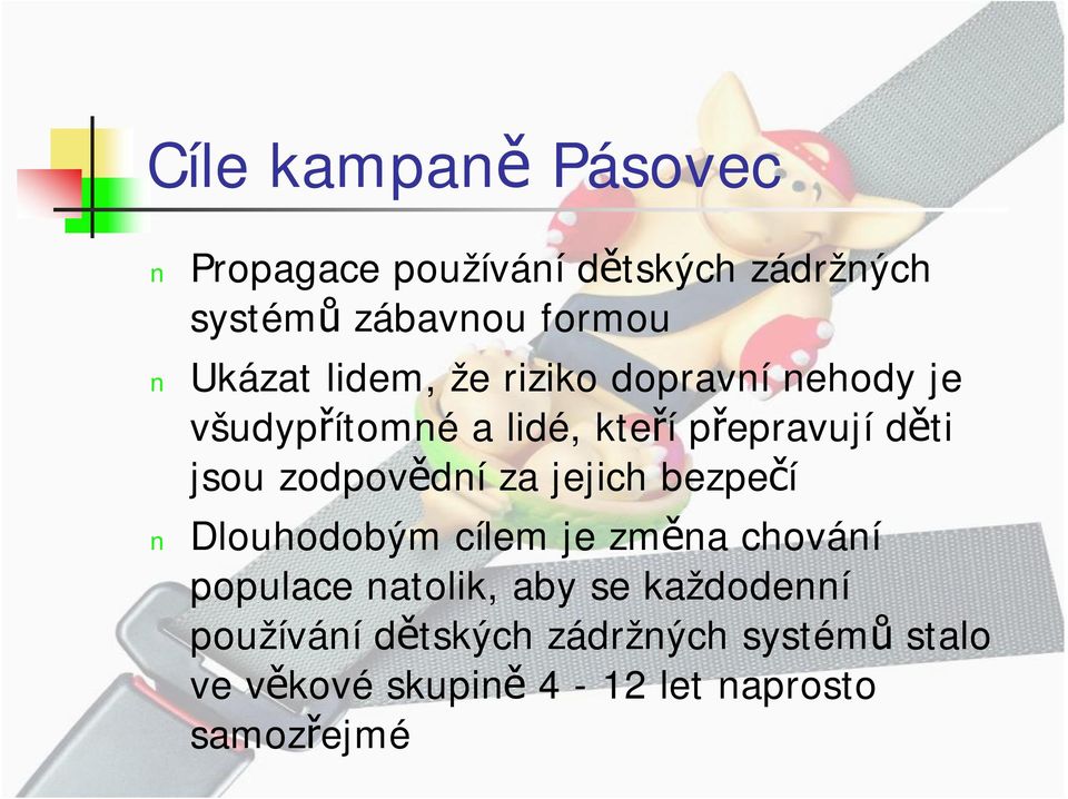 zodpovědní za jejich bezpečí Dlouhodobým cílem je změna chování populace natolik, aby se