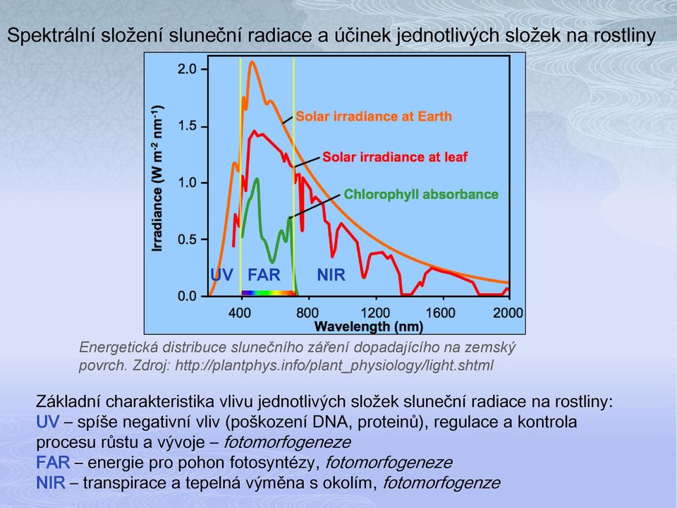 shtml Základní charakteristika vlivu jednotlivých složek sluneční radiace na rostliny: UV spíše negativní vliv (poškození DNA,