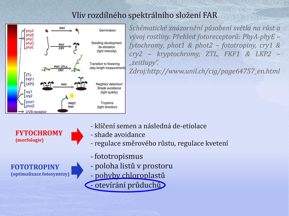 Zdroj:http://www.unil.ch/cig/page64757_en.