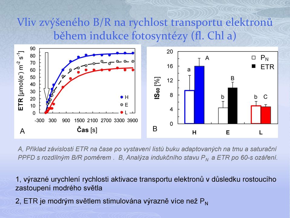 Příklad závislosti ETR na čase po vystavení listů buku adaptovaných na tmu a saturační PPFD s rozdílným B/R poměrem.