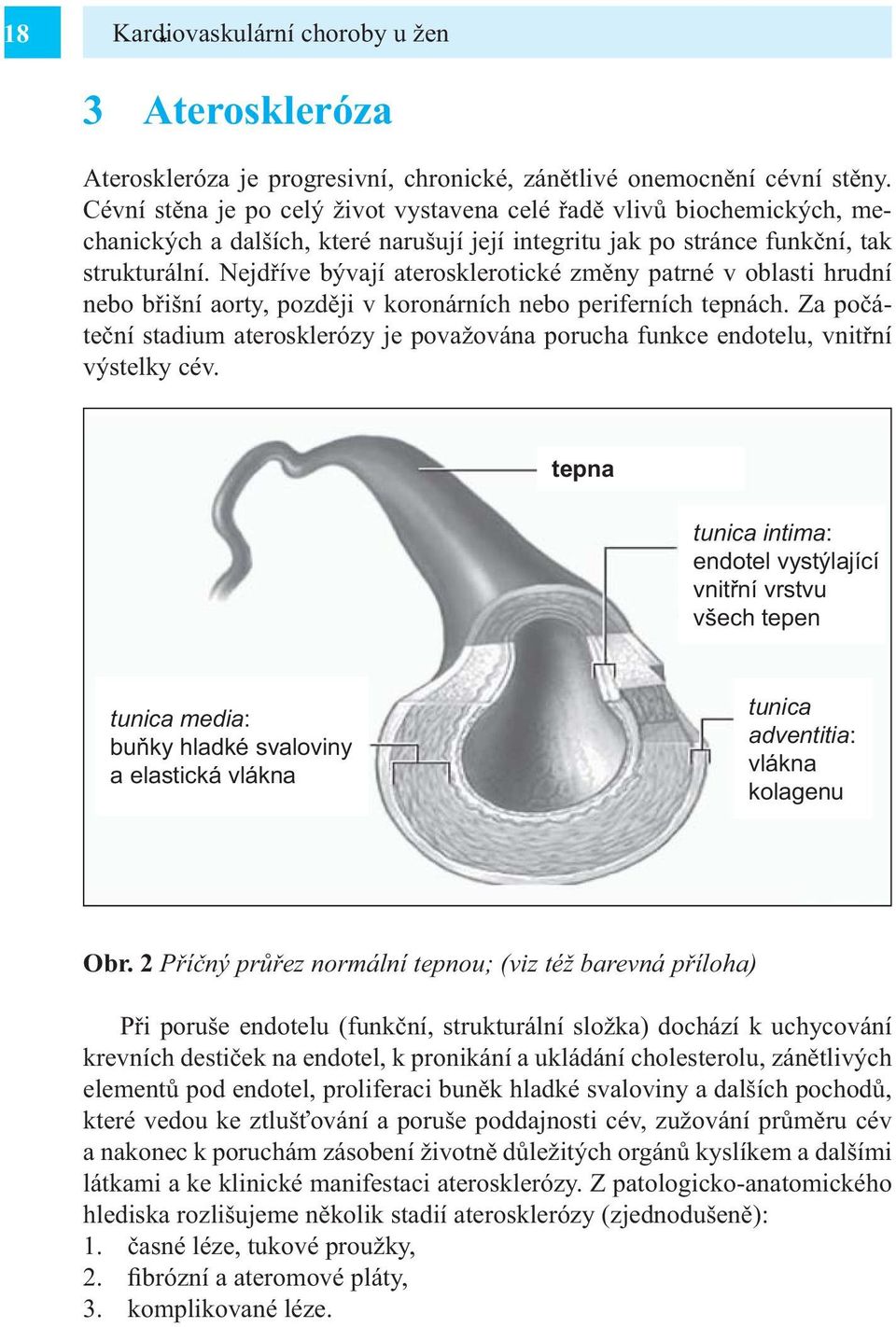 Nejdříve bývají aterosklerotické změny patrné v oblasti hrudní nebo břišní aorty, později v koronárních nebo periferních tepnách.