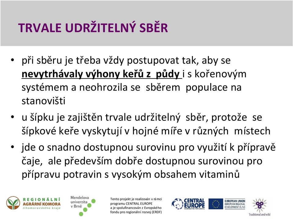 sběr, protože se šípkové keře vyskytují v hojné míře v různých místech jde o snadno dostupnou surovinu pro