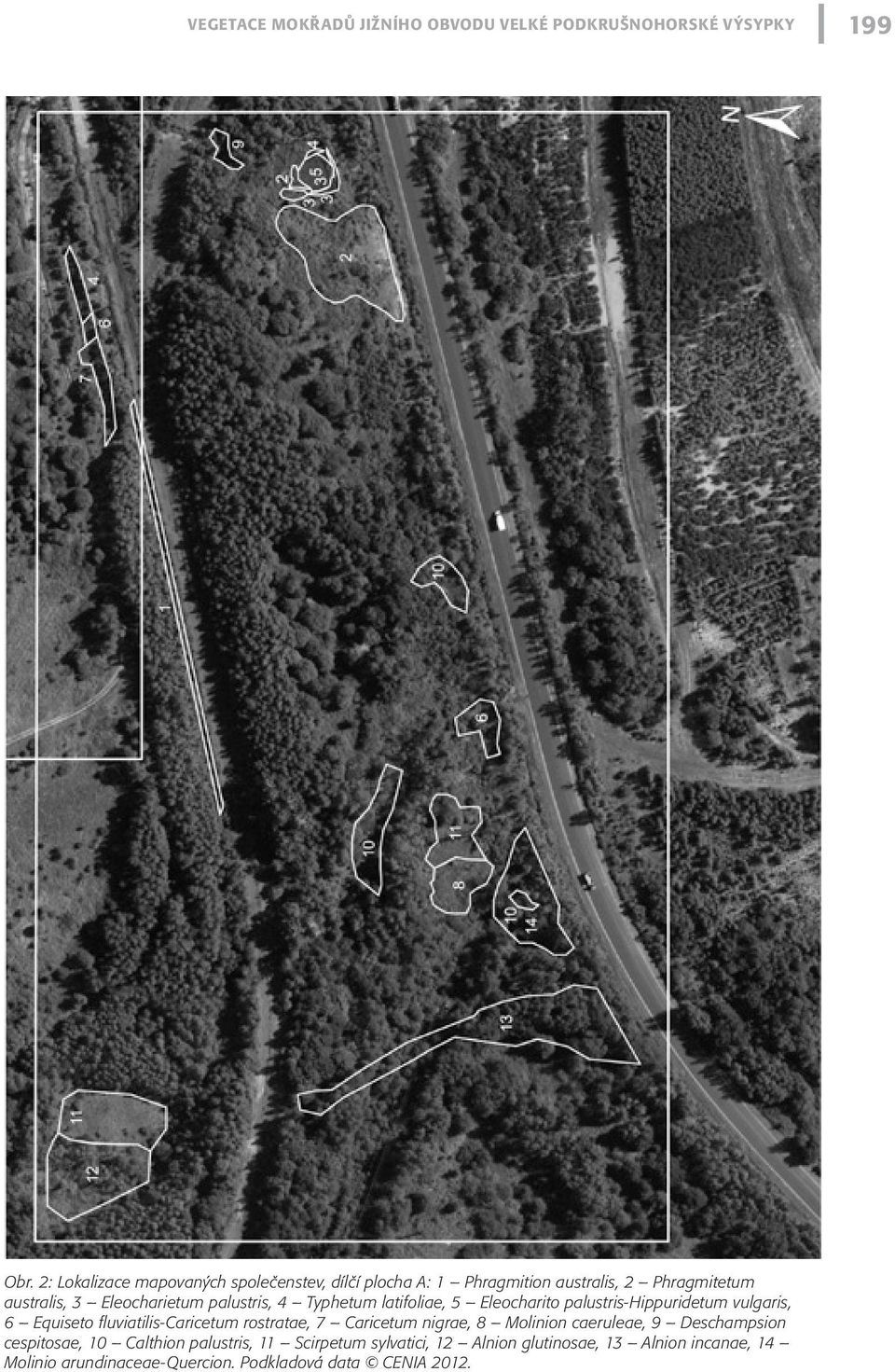 4 Typhetum latifoliae, 5 Eleocharito palustris-hippuridetum vulgaris, 6 Equiseto fluviatilis-caricetum rostratae, 7 Caricetum nigrae,