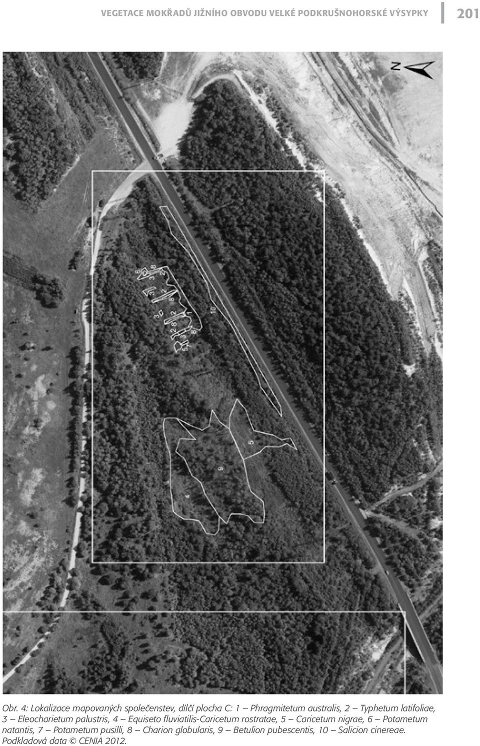 latifoliae, 3 Eleocharietum palustris, 4 Equiseto fluviatilis-caricetum rostratae, 5 Caricetum