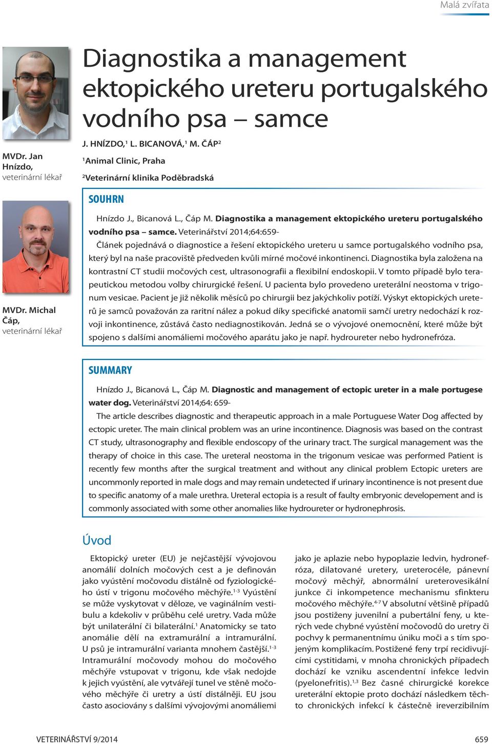 Diagnostika a management ektopického ureteru portugalského vodního psa samce.