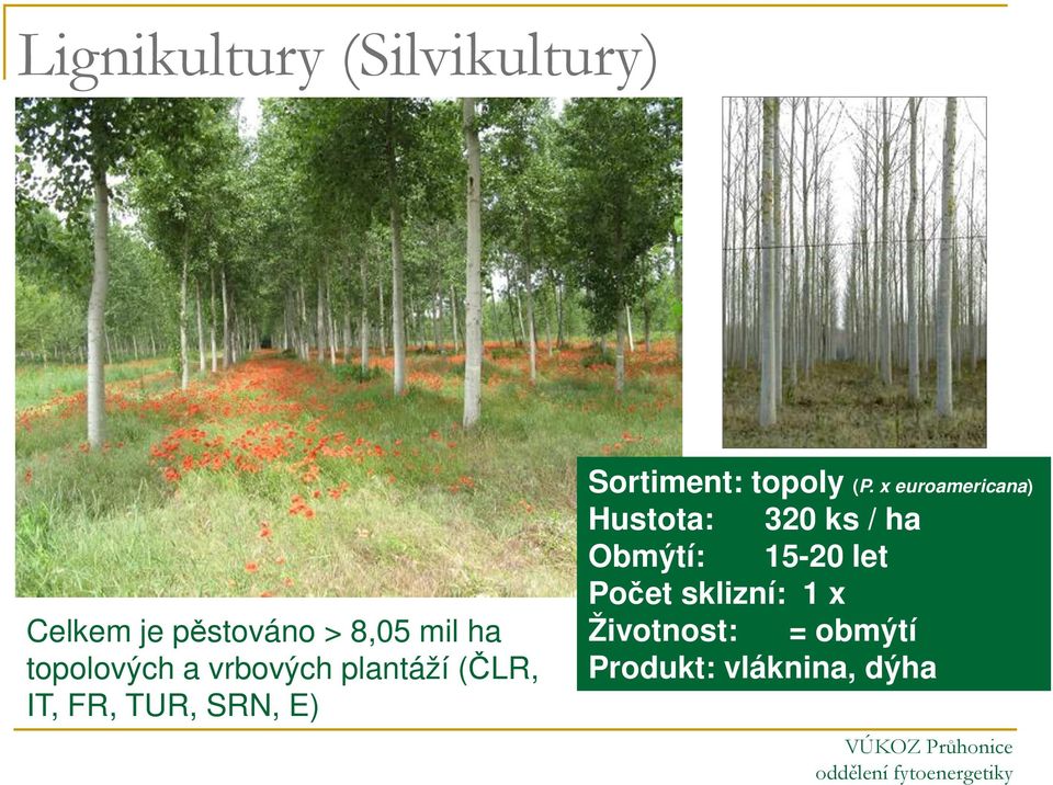 Sortiment: topoly (P.