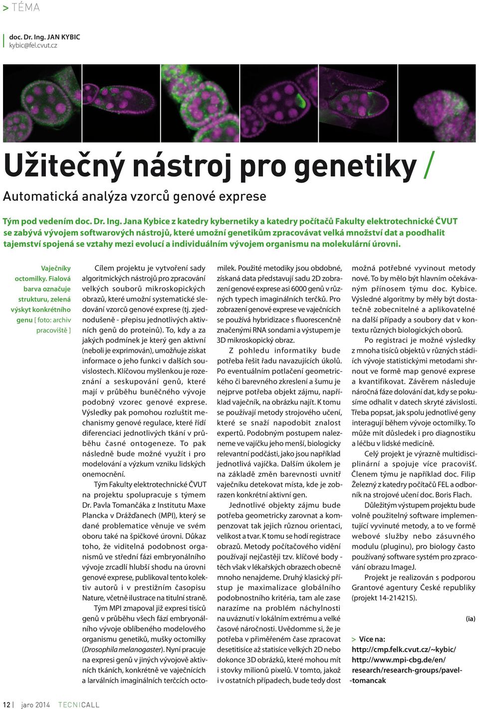 Jana Kybice z katedry kybernetiky a katedry počítačů Fakulty elektrotechnické ČVUT se zabývá vývojem softwarových nástrojů, které umožní genetikům zpracovávat velká množství dat a poodhalit tajemství