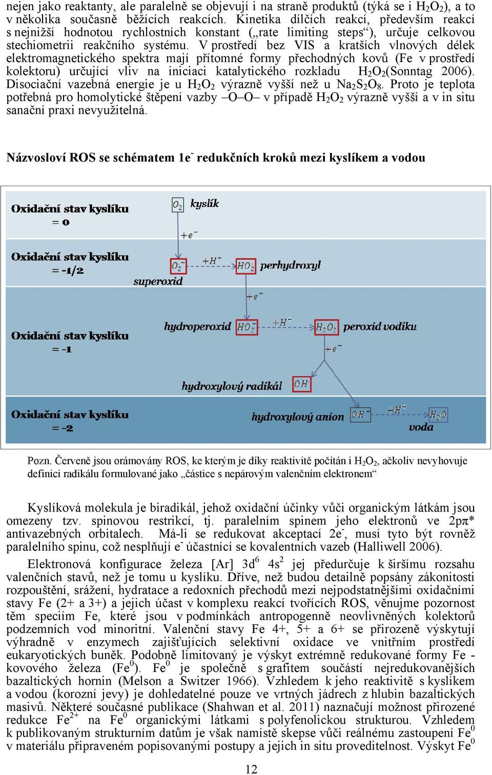 V prostředí bez VIS a kratších vlnových délek elektromagnetického spektra mají přítomné formy přechodných kovů (Fe v prostředí kolektoru) určující vliv na iniciaci katalytického rozkladu H 2 O 2