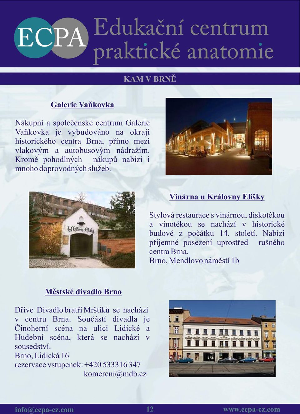 Vinárna u Královny Elišky Stylová restaurace s vinárnou, diskotékou a vinotékou se nachází v historické budovì z poèátku 14. století.