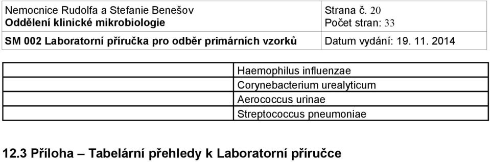 Corynebacterium urealyticum Aerococcus