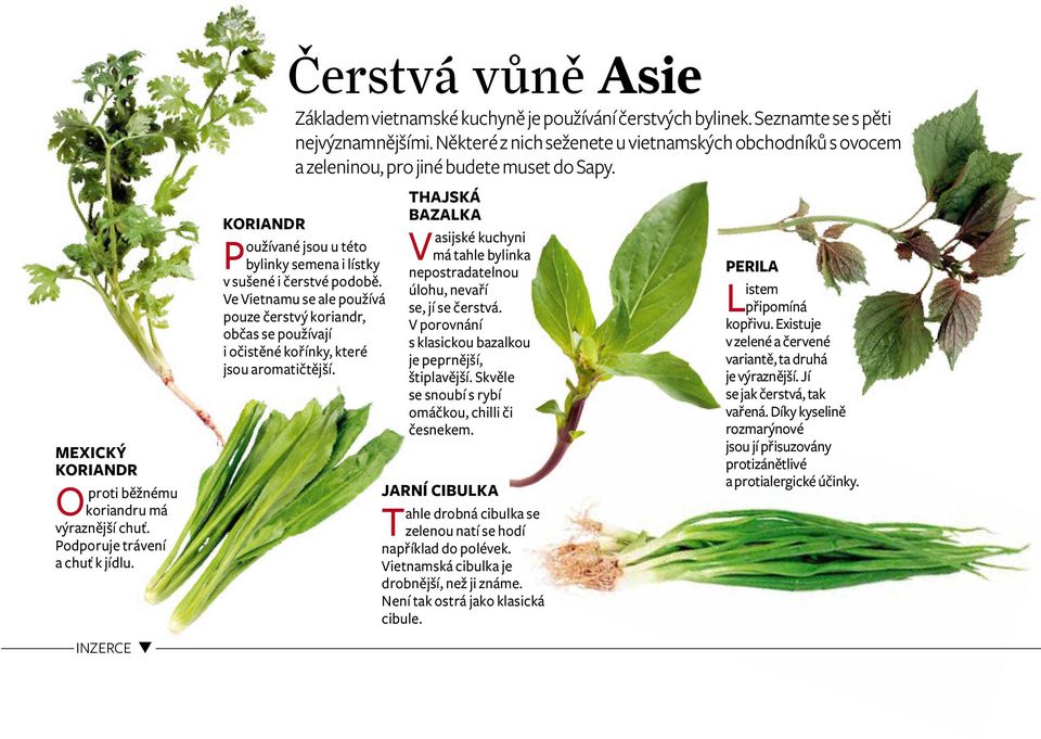 koriandr oužívané jsou u této P bylinky semena i lístky v sušené i čerstvé podobě. ve vietnamu se ale používá pouze čerstvý koriandr, občas se používají i očistěné kořínky, které jsou aromatičtější.