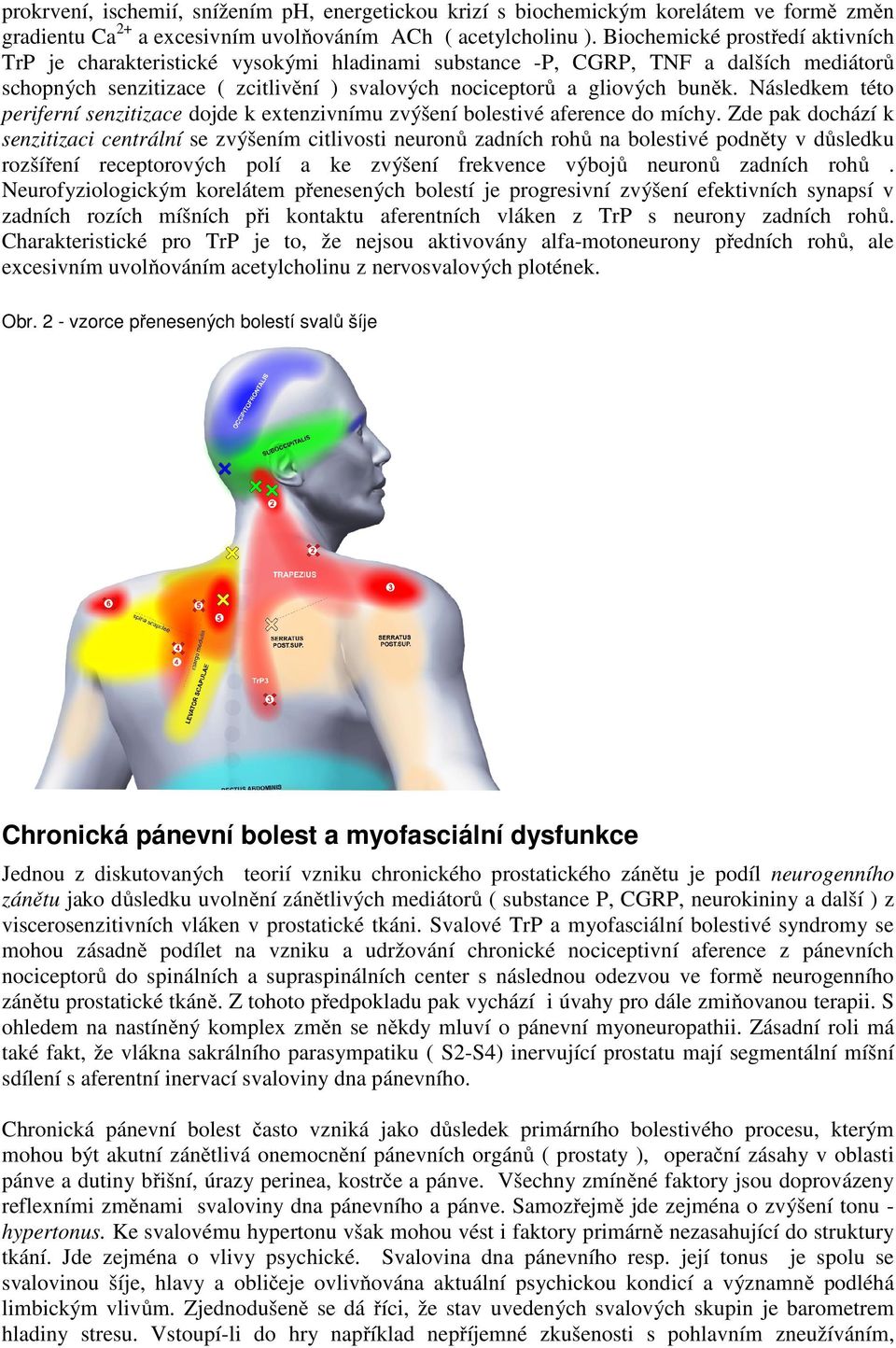 Následkem této periferní senzitizace dojde k extenzivnímu zvýšení bolestivé aference do míchy.