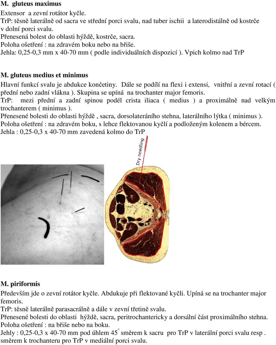 gluteus medius et minimus Hlavní funkcí svalu je abdukce končetiny. Dále se podílí na flexi i extensi, vnitřní a zevní rotací ( přední nebo zadní vlákna ).