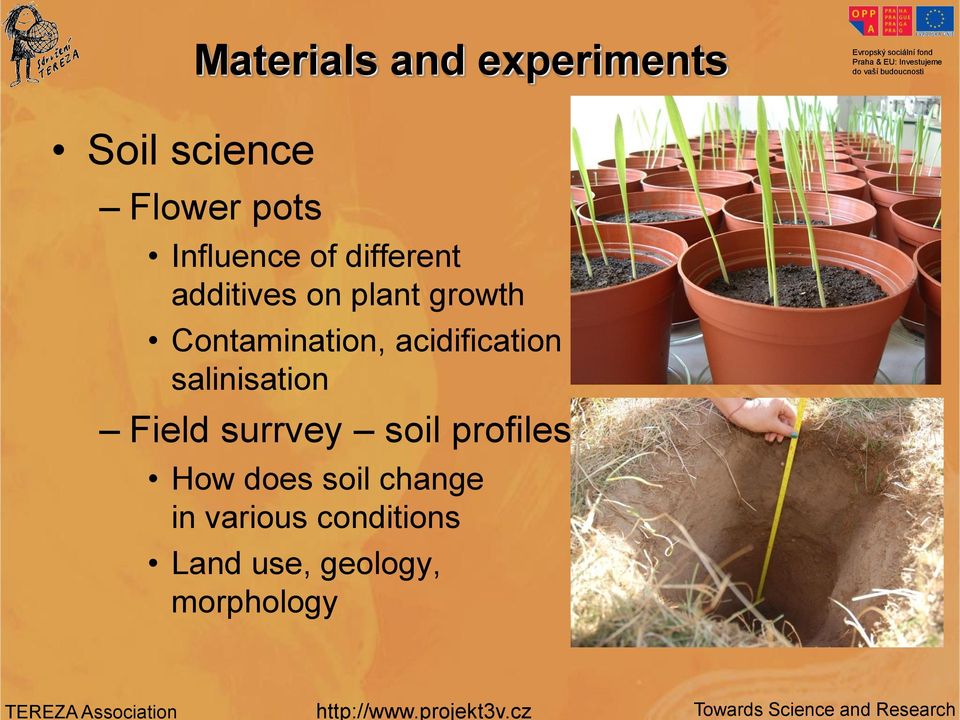 acidification salinisation Field surrvey soil profiles How