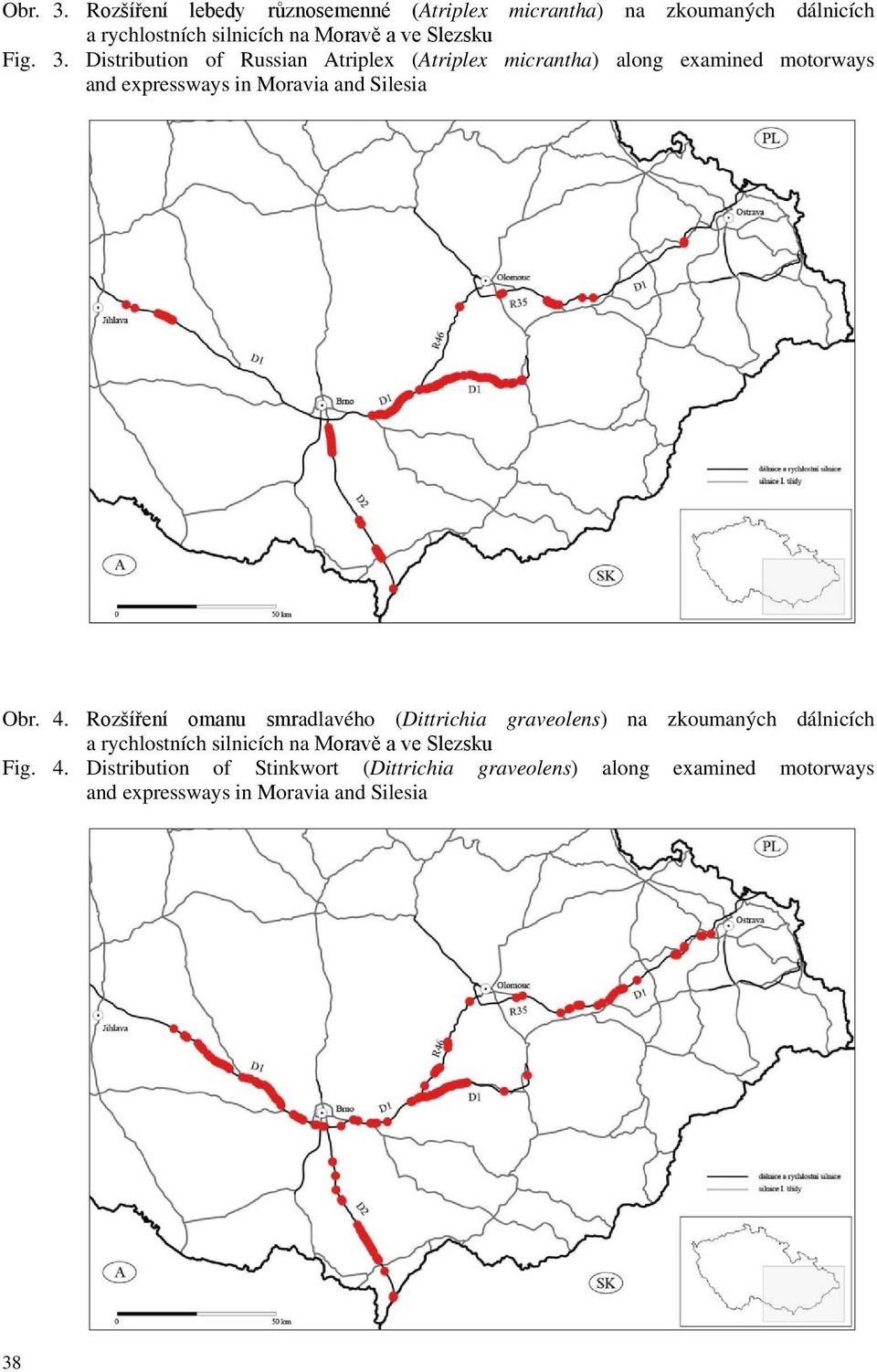 3. Distribution of Russian Atriplex (Atriplex micrantha) along examined motorways and expressways in Moravia and Silesia Obr. 4.