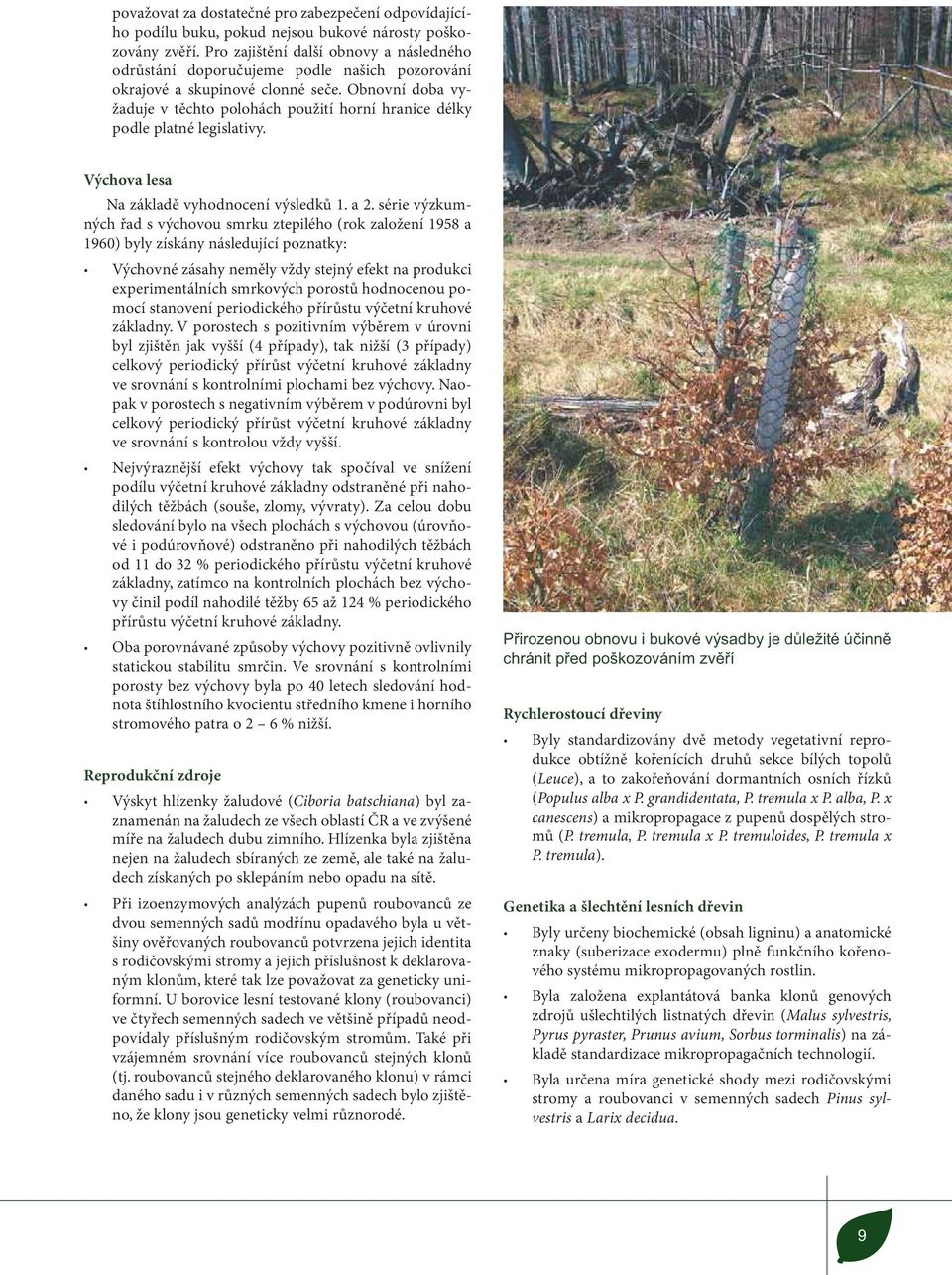 Obnovní doba vyžaduje v těchto polohách použití horní hranice délky podle platné legislativy. Výchova lesa Na základě vyhodnocení výsledků 1. a 2.