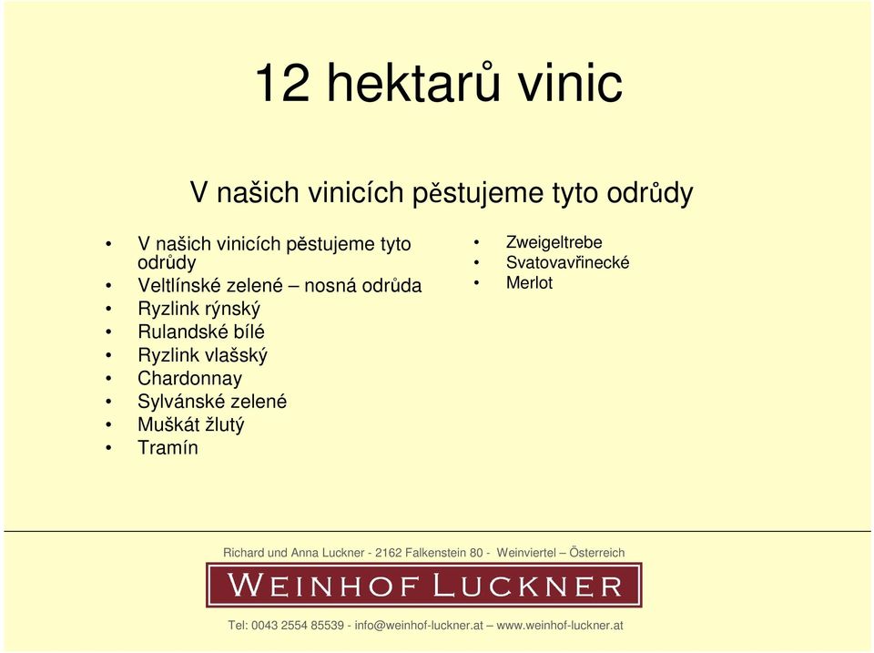 odrůda Ryzlink rýnský Rulandské bílé Ryzlink vlašský Chardonnay