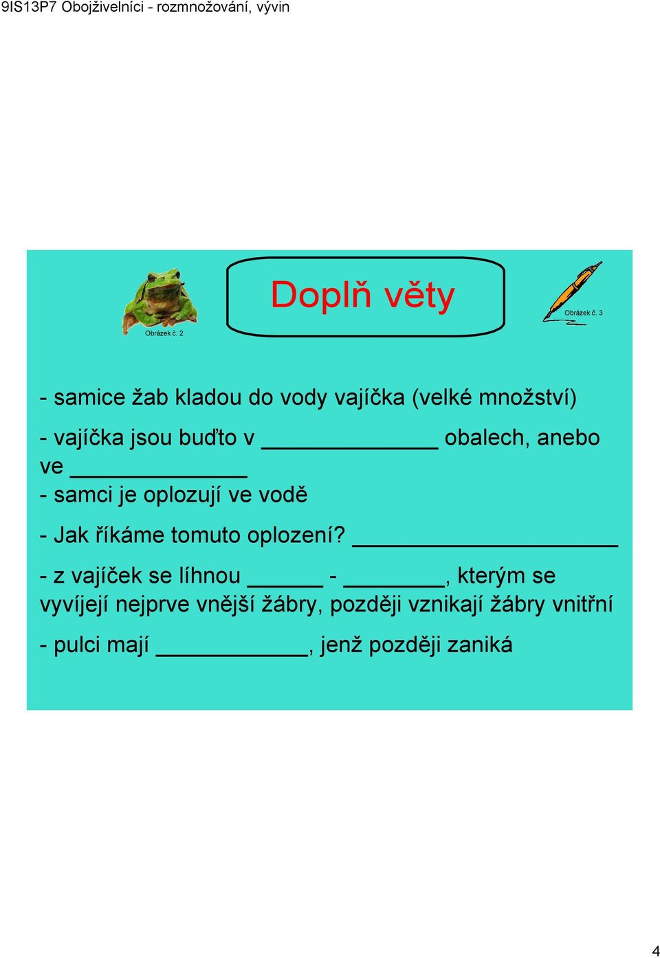 obalech, anebo ve samci je oplozují ve vodě Jak říkáme tomuto oplození?