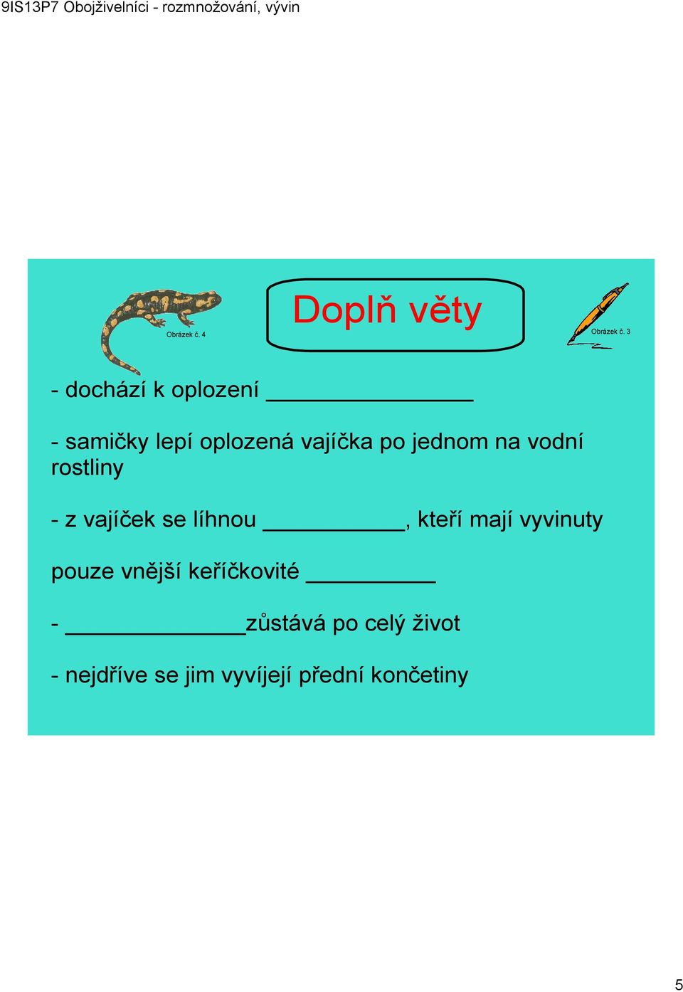 na vodní rostliny z vajíček se líhnou, kteří mají vyvinuty