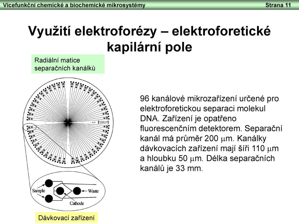 separaci molekul DNA. Zařízení je opatřeno fluorescenčním detektorem. Separační kanál má průměr 200 mm.