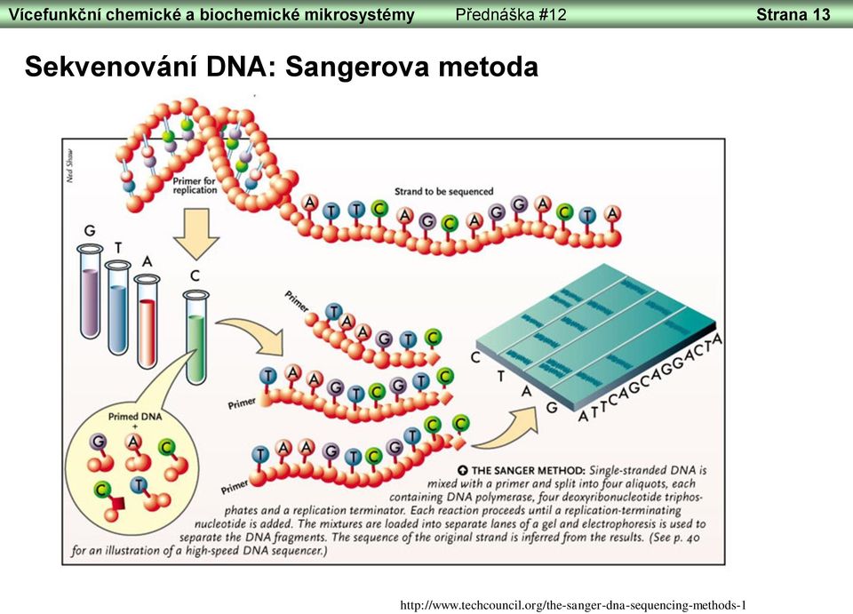 Sekvenování DNA: Sangerova metoda