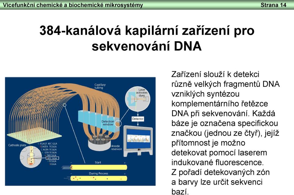 při sekvenování.