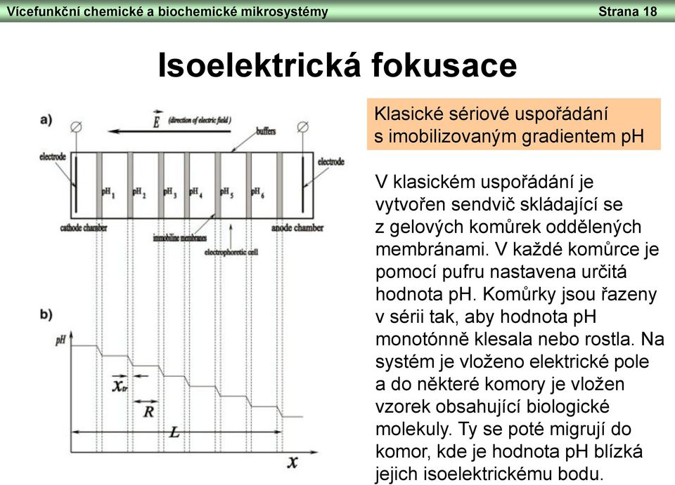 V každé komůrce je pomocí pufru nastavena určitá hodnota ph. Komůrky jsou řazeny v sérii tak, aby hodnota ph monotónně klesala nebo rostla.