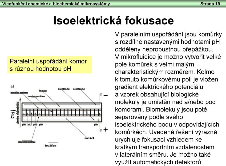 Kolmo k tomuto komůrkovému poli je vložen gradient elektrického potenciálu a vzorek obsahující biologické molekuly je umístěn nad a/nebo pod komorami.