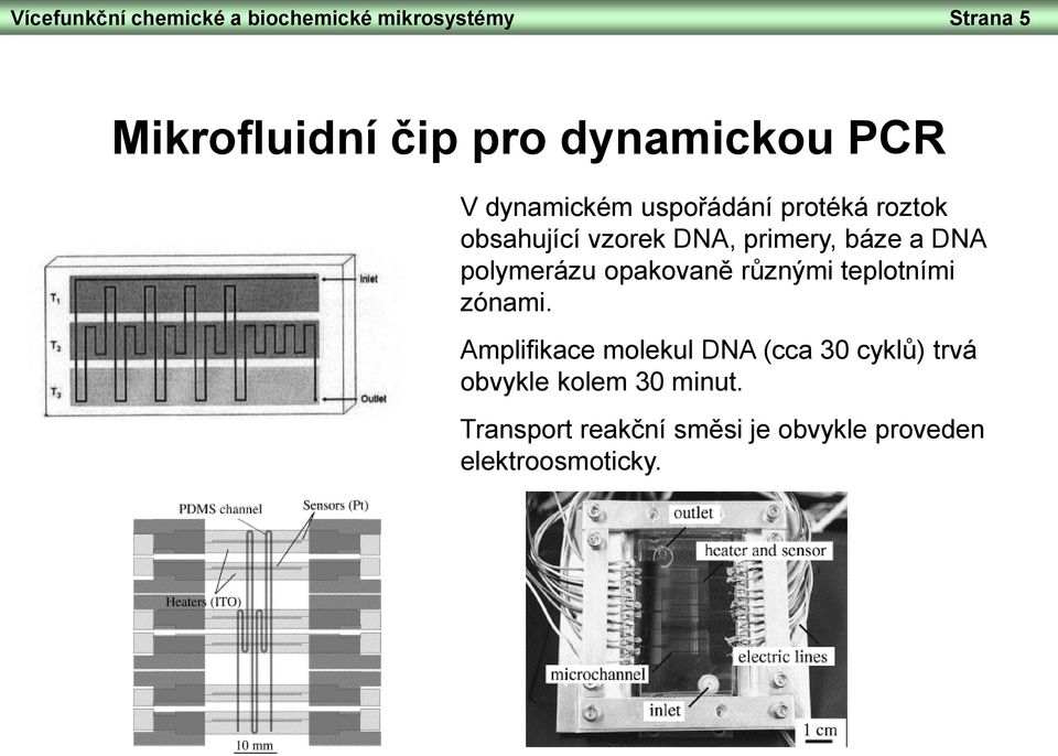 báze a DNA polymerázu opakovaně různými teplotními zónami.