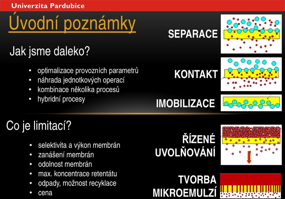 procesů hybridní procesy Co je limitací?