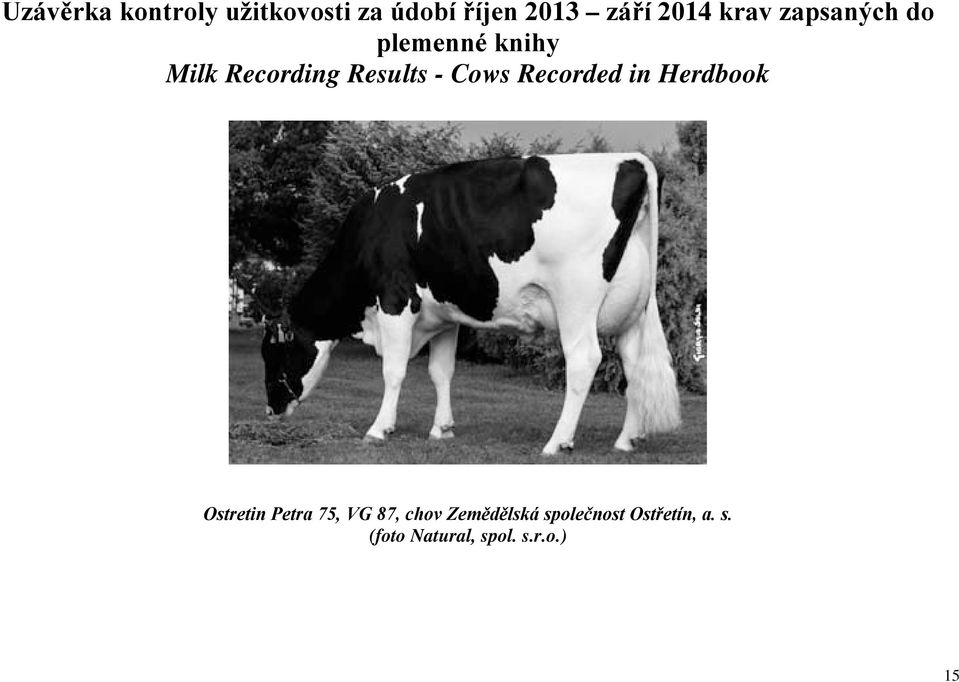 Cows Recorded in Herdbook Ostretin Petra 75, VG 87, chov