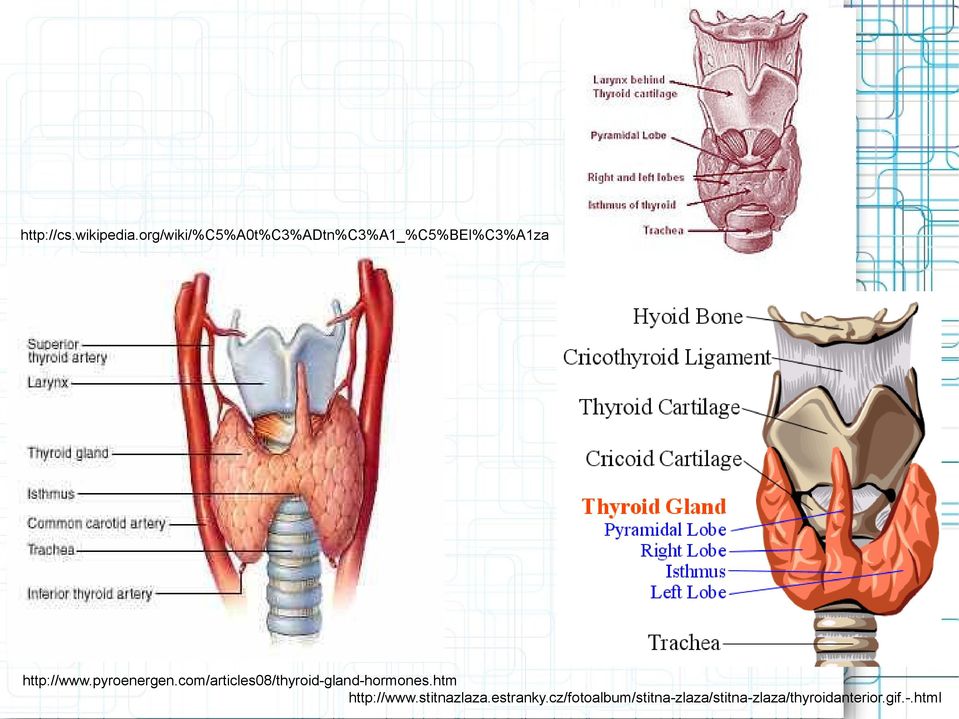 pyroenergen.com/articles08/thyroid-gland-hormones.