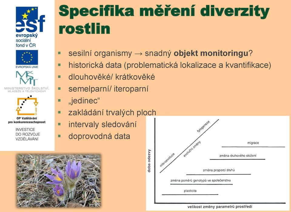 historická data (problematická lokalizace a kvantifikace)