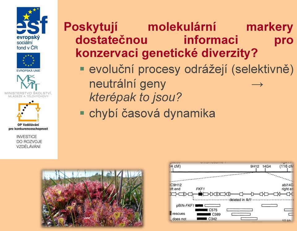 evoluční procesy odrážejí (selektivně)