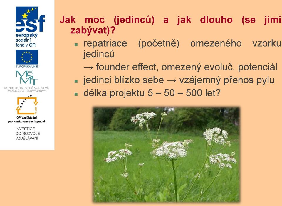 founder effect, omezený evoluč.