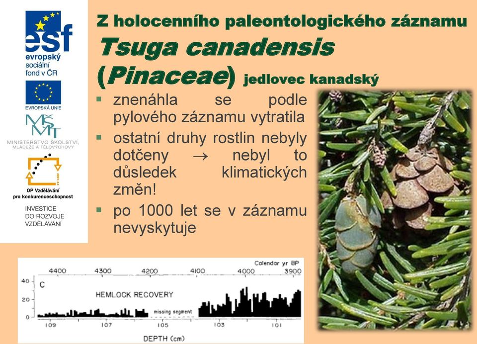 záznamu vytratila ostatní druhy rostlin nebyly dotčeny nebyl