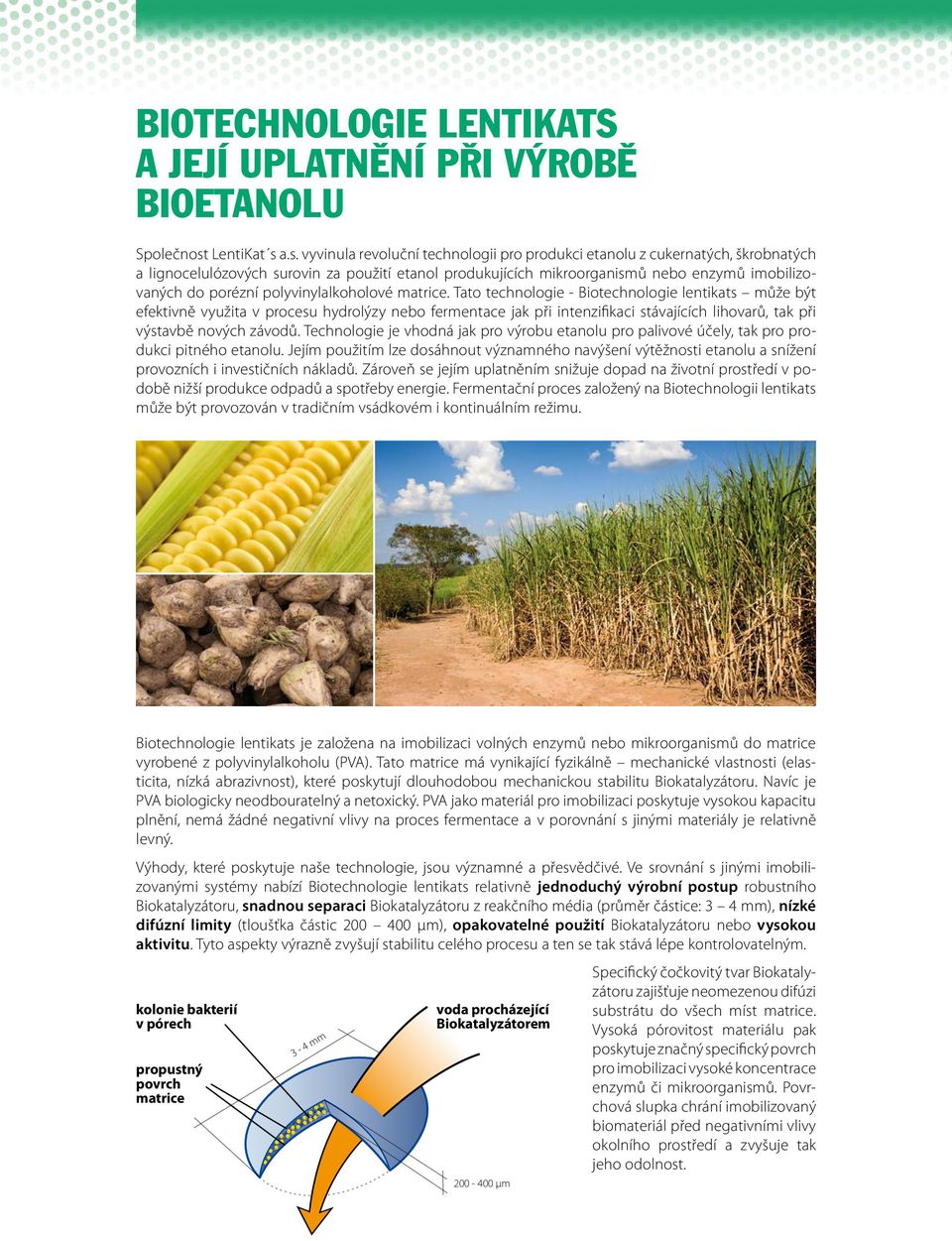 a.s. vyvinula revoluční technologii pro produkci etanolu z cukernatých, škrobnatých a lignocelulózových surovin za použití etanol produkujících mikroorganismů nebo enzymů imobilizovaných do porézní