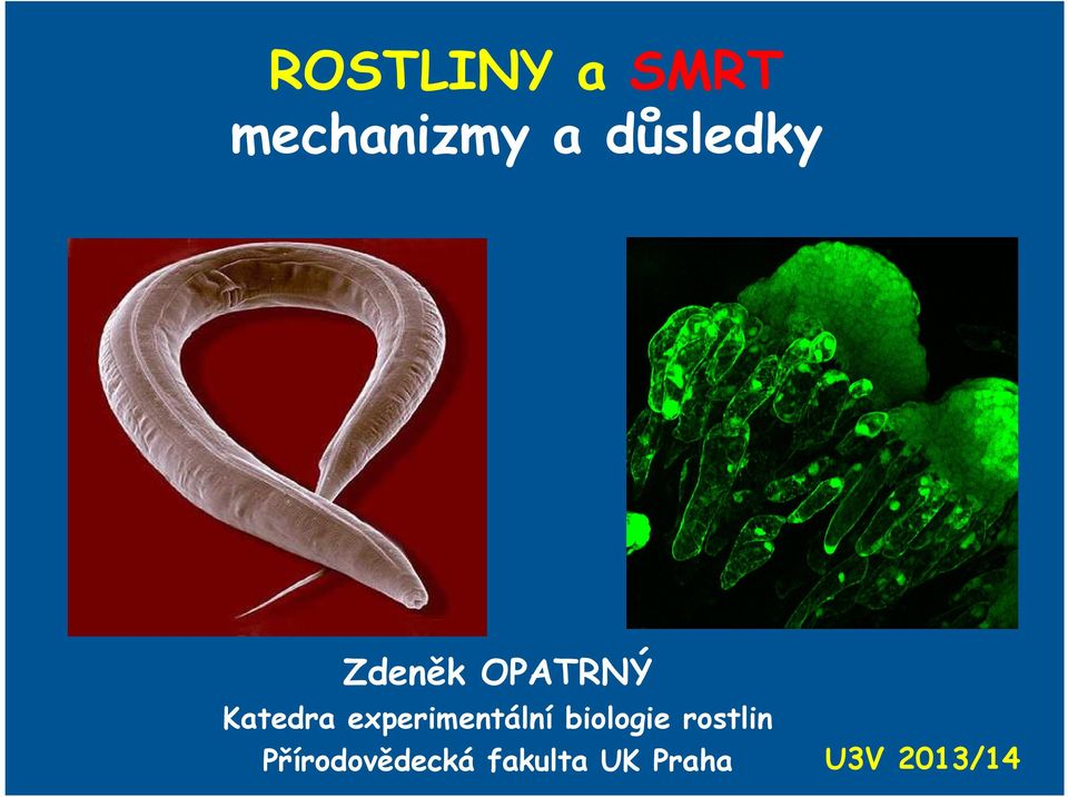 experimentální biologie rostlin