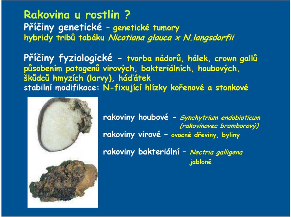 houbových, škůdců hmyzích (larvy), háďátek stabilní modifikace: N-fixující hlízky kořenové a stonkové rakoviny