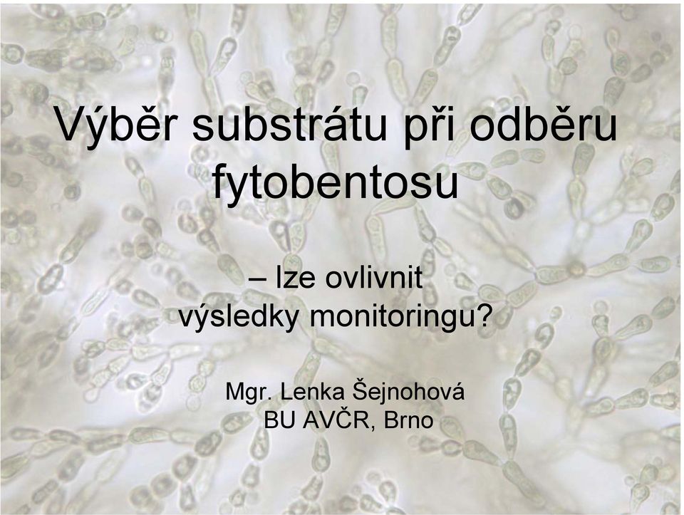 výsledky monitoringu? Mgr.