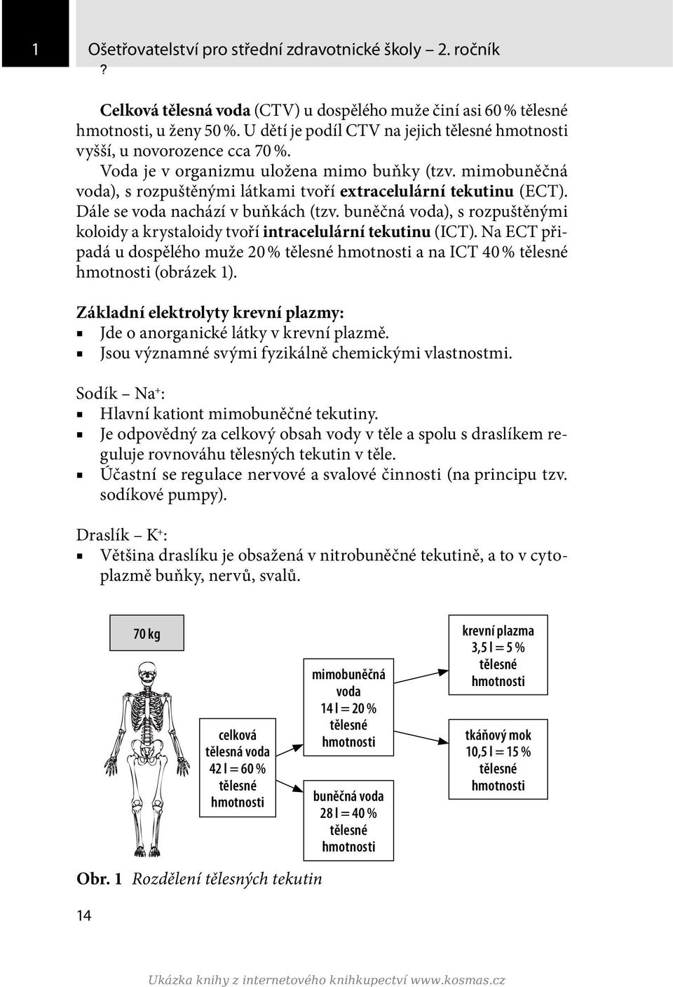 mimobuněčná voda), s rozpuštěnými látkami tvoří extracelulární tekutinu (ECT). Dále se voda nachází v buňkách (tzv.