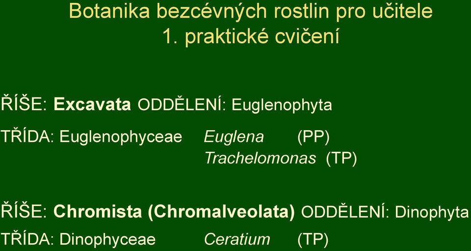 TŘÍDA: Euglenophyceae Euglena (PP) Trachelomonas (TP) ŘÍŠE: